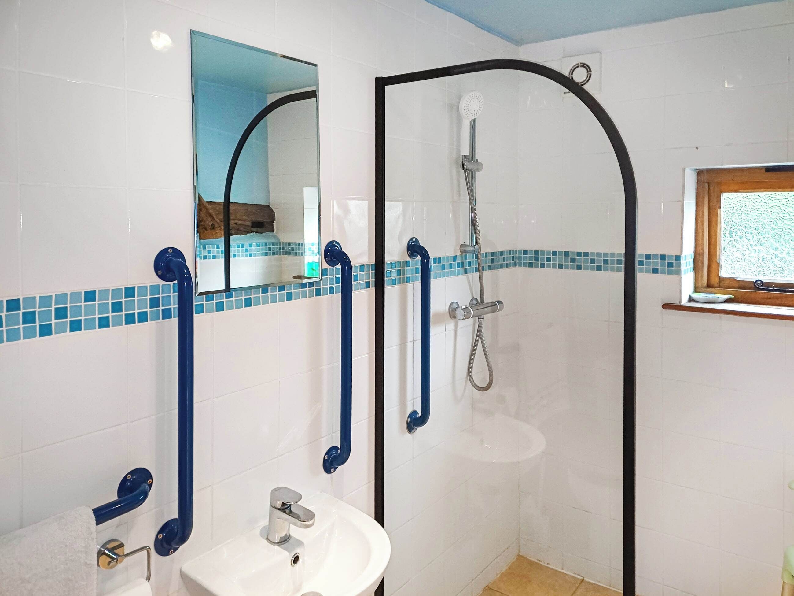 Une salle de bain avec un lavabo blanc, un miroir, une douche dotée d’une porte incurvée et des barres d’appui bleues.