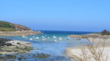 Plage, chaises longues