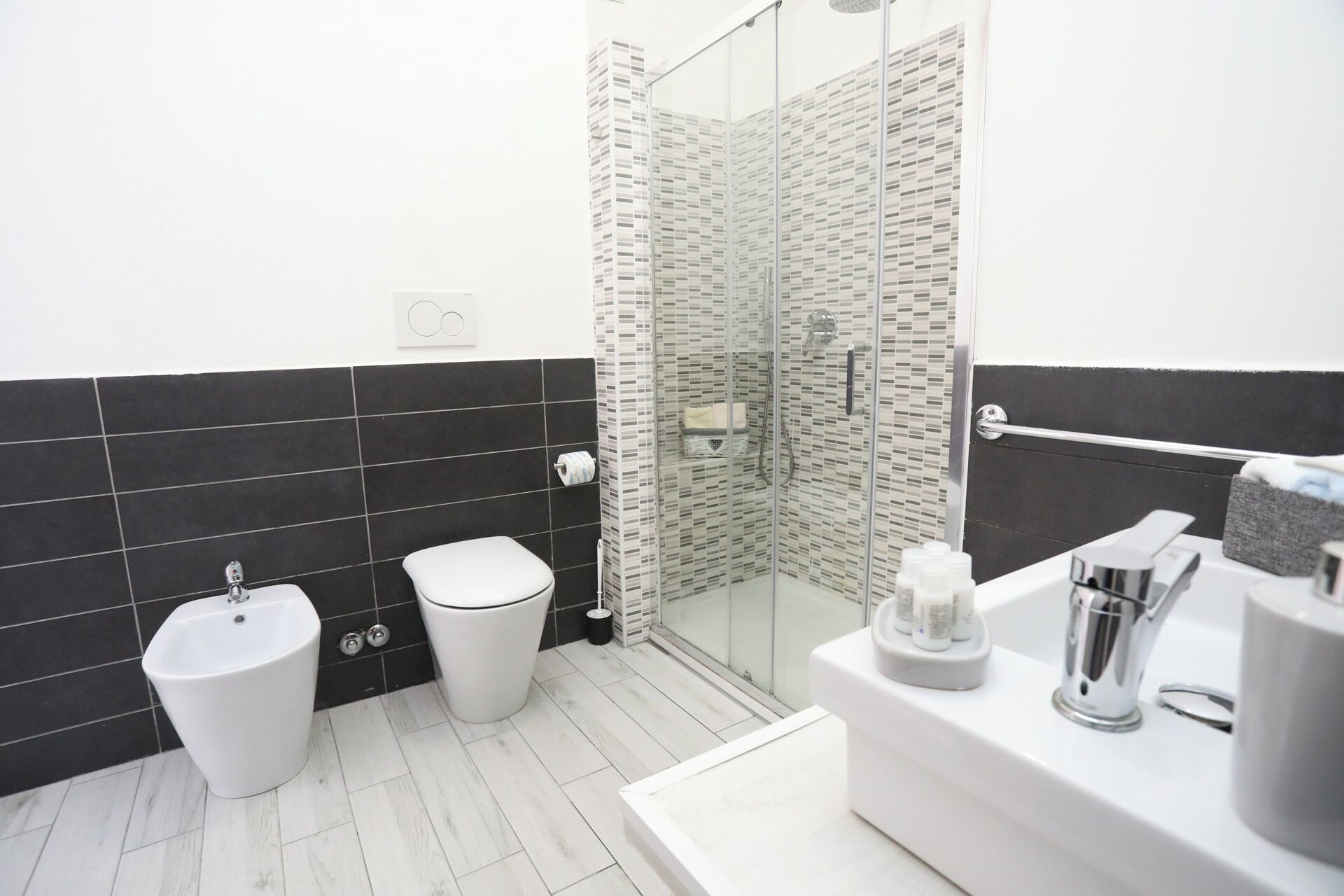Shower, hair dryer, bidet, towels
