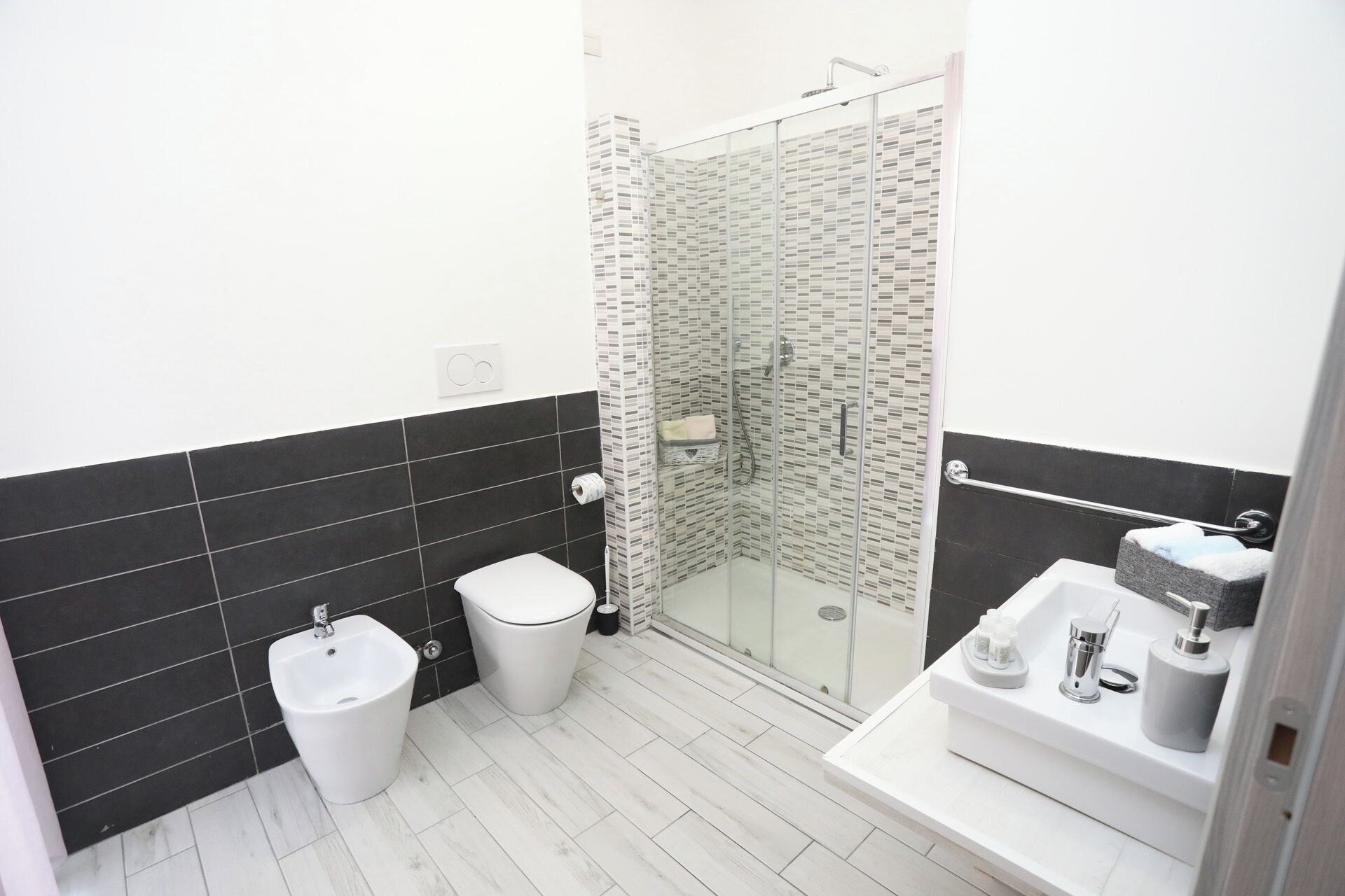 Regadera, secadora de cabello, bidet, toallas 