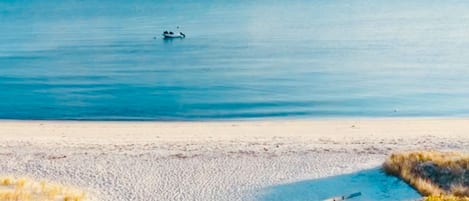 On the beach, sun loungers, beach towels