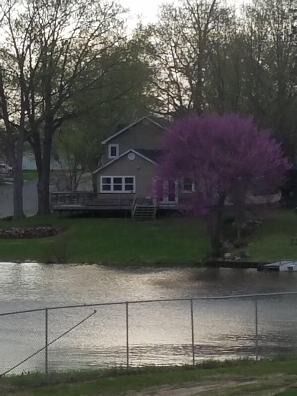 A house by a lake with a fenced deck and a purple tree. - Beautiful house on Palmer Lake in Colon, MI, one block from downtown (Colon)