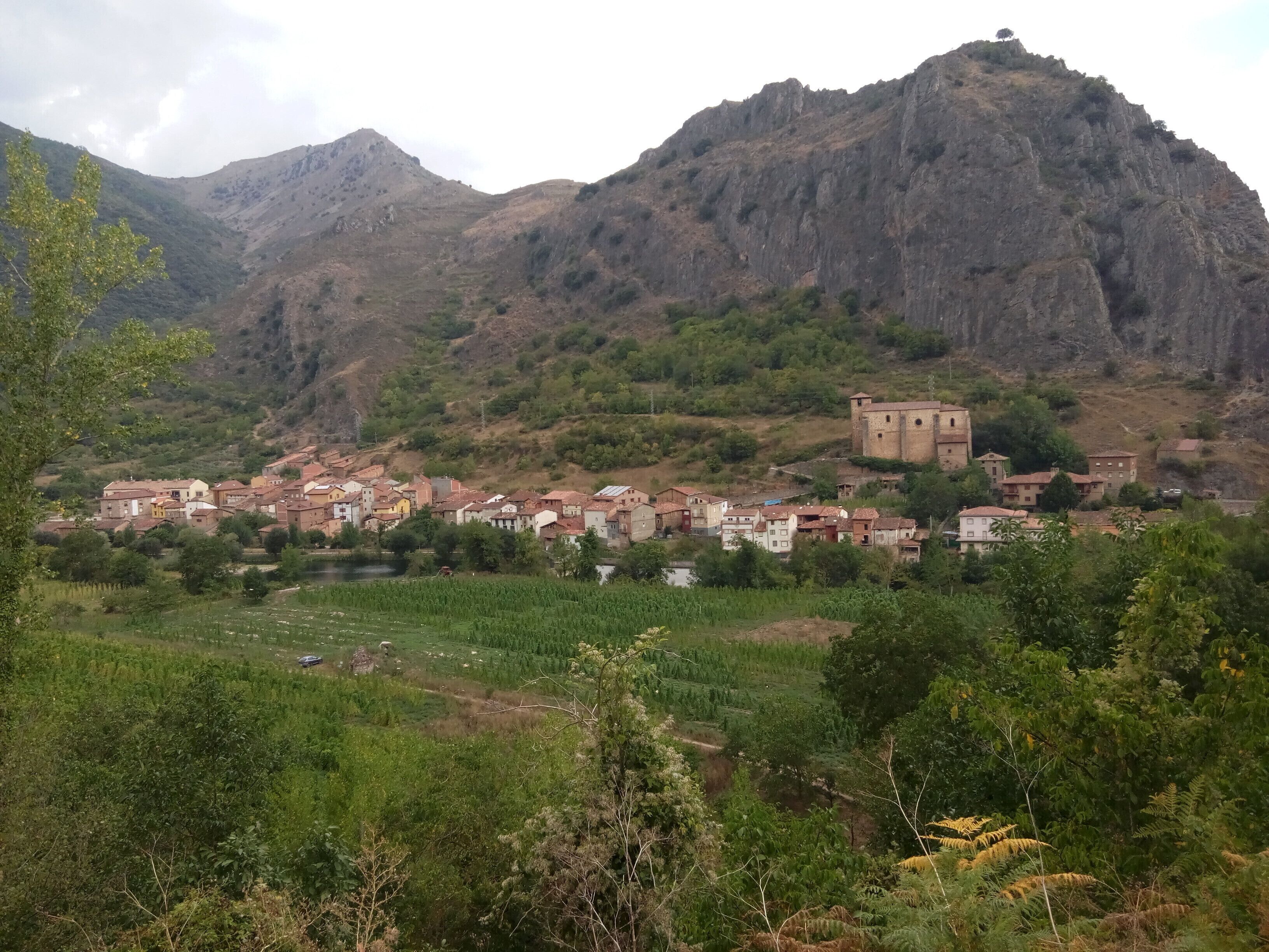 A village with traditional buildings, a prominent castle-like structure, and lush greenery.
