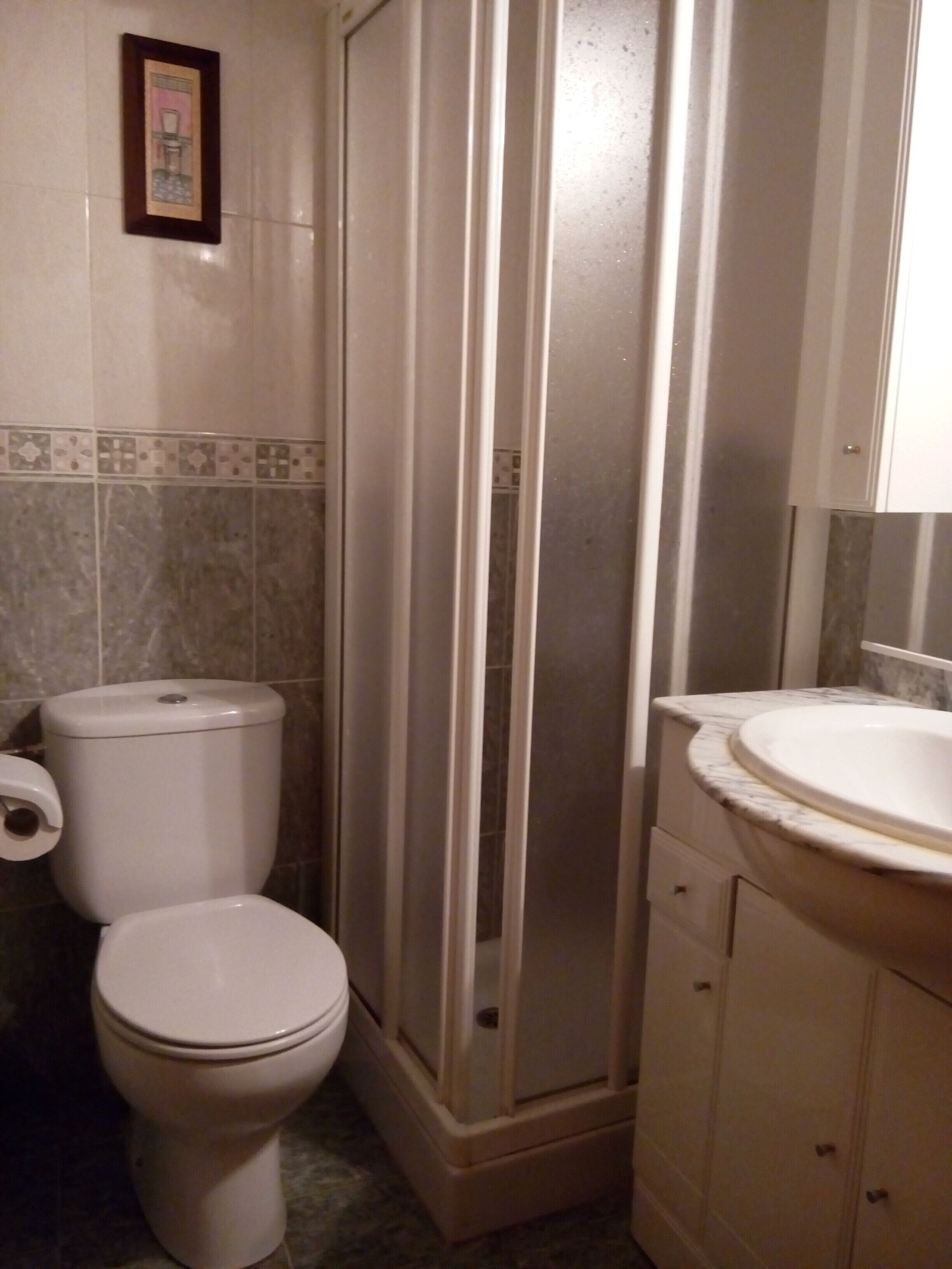 A bathroom with a toilet, a shower enclosure, and a sink with a marble countertop.