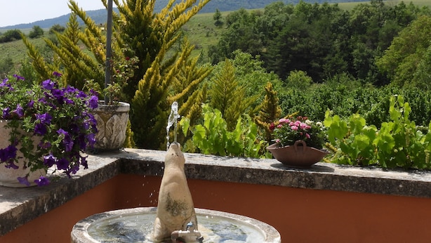 المنطقة المحيطة بالمنشأة