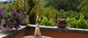  Elai etxea (Apt. Añana) Ideell for grupper på opptil 9 personer.