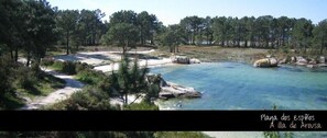 Surrounded by dense pine trees, this beach offers a rugged natural setting with a clear turquoise body of water and rocky outcrops.