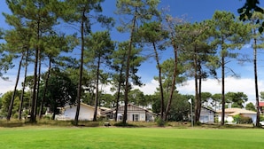 A residential area with tall pine trees, a grassy lawn, and houses with a traditional architectural style. - Wi-Fi Gratuit! Appart équipé, au cœur du Golf (Gujan-Mestras)