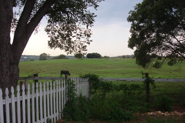 Àrea exterior de l'allotjament