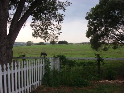 Quiet country life 10 minutes to New Braunfels or San Marcos