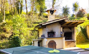 Property grounds - Villa with private swimming pool, garden & sea view Forte Dei Marmi   (Pietrasanta)