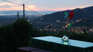 Property grounds - Villa with private swimming pool, garden & sea view Forte Dei Marmi   (Pietrasanta)