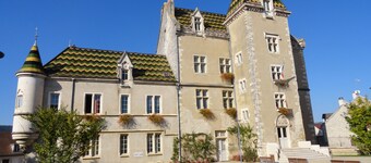High Quality 17thc charming Cottage, Meursault village, sleeps 2