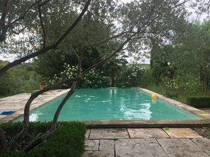 A rectangular swimming pool surrounded by lush greenery and trees.