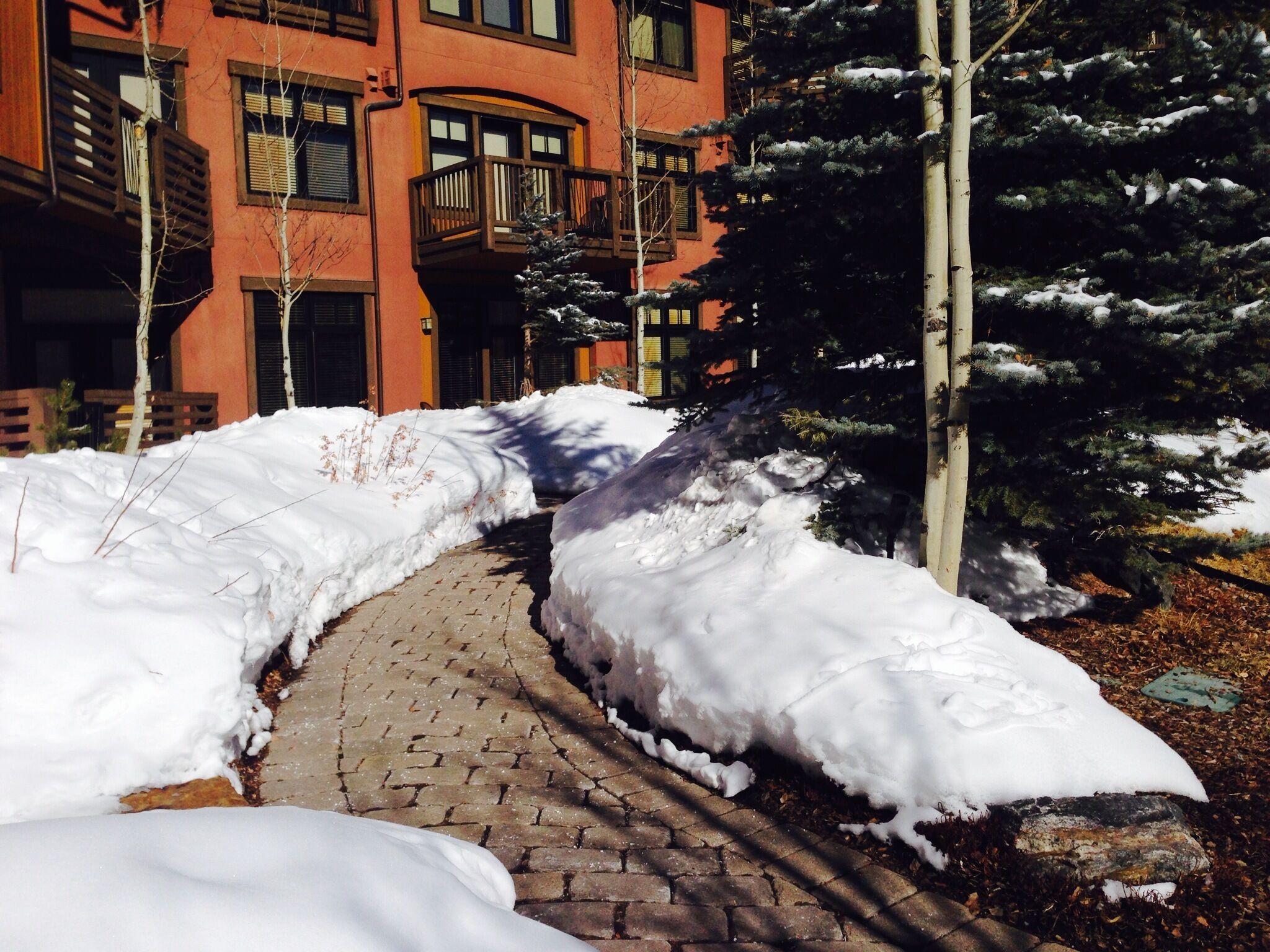 A snow-covered pathway leading to a building with a red facade and multiple windows.
