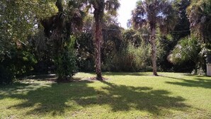 Un espace extérieur verdoyant, avec des arbres et une clôture.