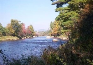 A river with a rocky bed, surrounded by dense foliage and trees.