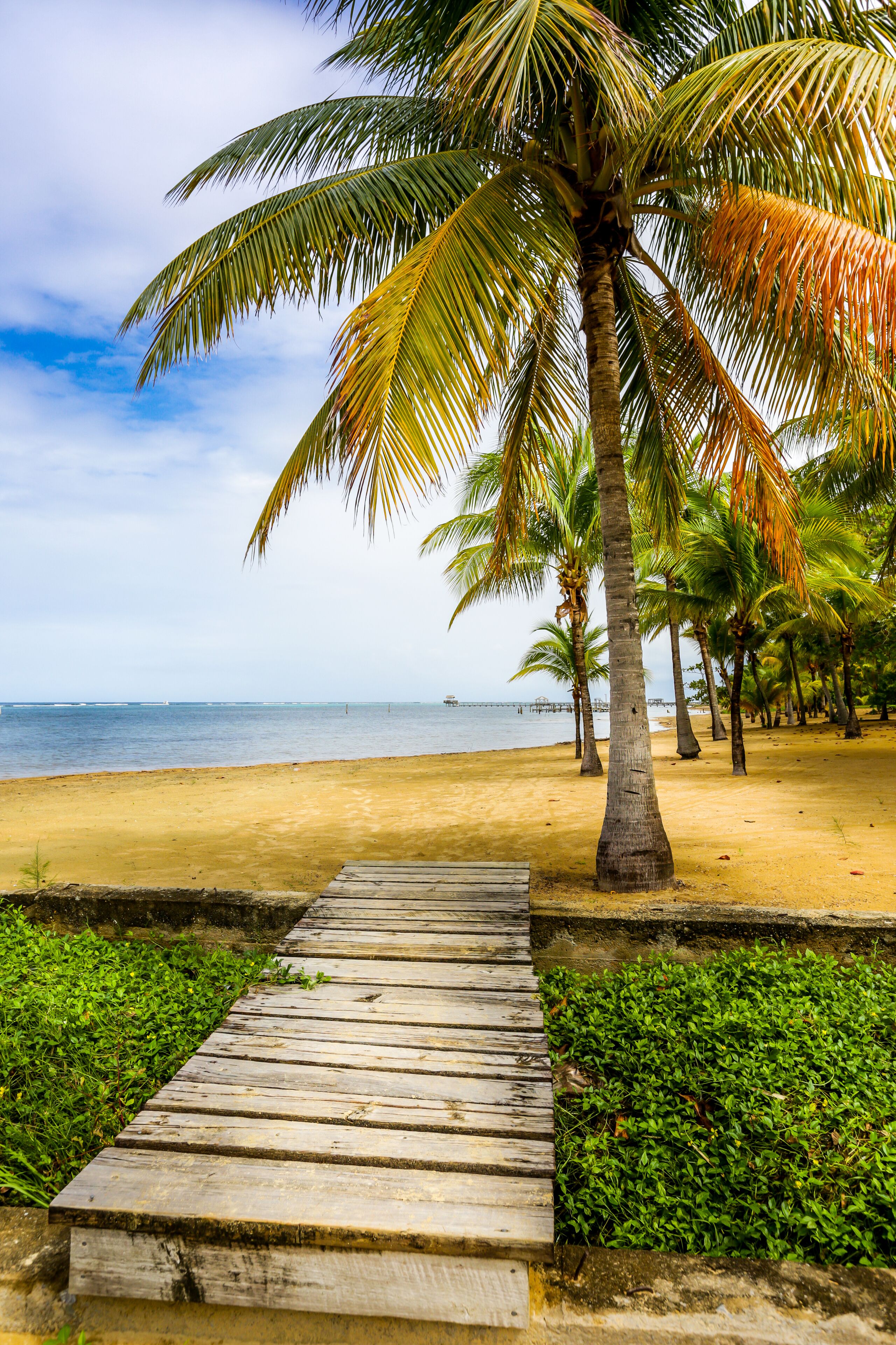 Vlak bij het strand, ligstoelen aan het strand, strandlakens