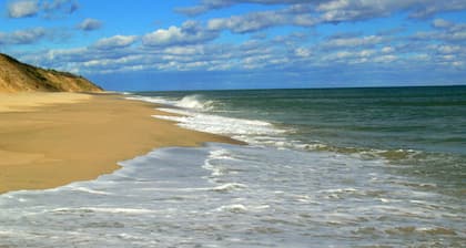 Lovely Dog Friendly Beach Home Close to Everything. Jan-April monthly discounts