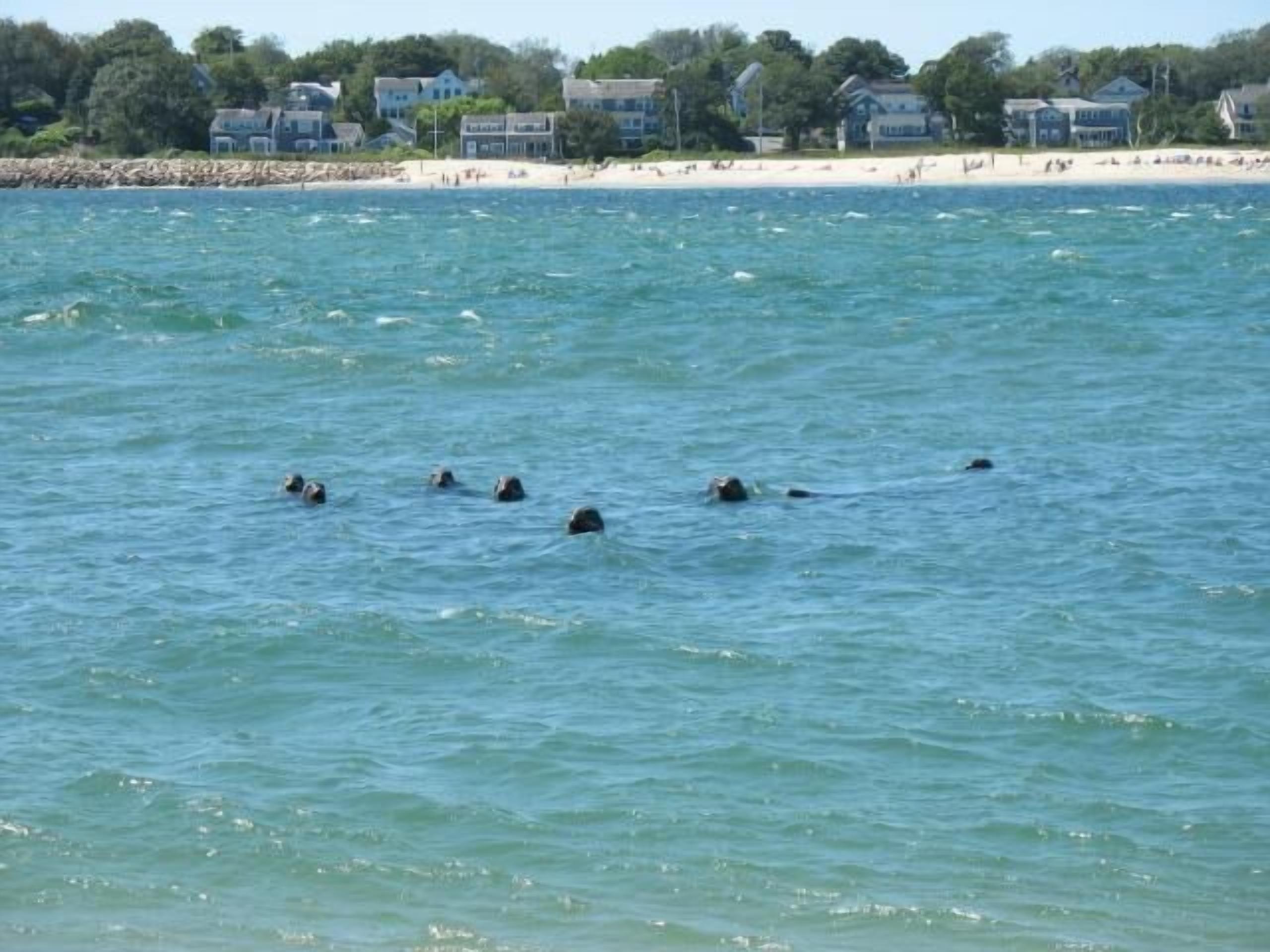 Beach nearby, sun-loungers, beach towels