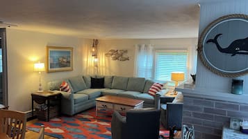 Smart TV, fireplace, DVD player, books