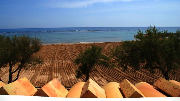 Une plage offrant une vue dégagée sur la mer et une zone sablonneuse bordée d’arbres.