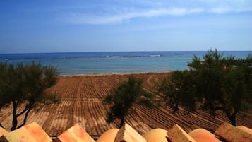 Playa en los alrededores