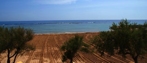 Una spiaggia nelle vicinanze