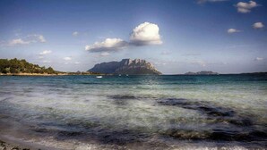 A coastal landscape with clear waters, a distant rocky island, and a clear sky. - Cozy rooms to rent in Olbia City Center (Olbia)