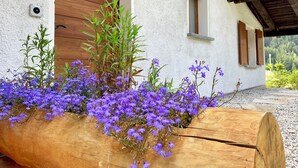 Una jardinera de madera llena de flores moradas frente a un edificio blanco con contraventanas y una puerta de madera.