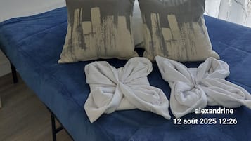 1 chambre, fer et planche à repasser, lit parapluie, Wi-Fi gratuit