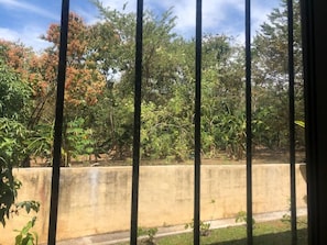 Interior - Newly Remodeled Condo MS #1 With 200MB Internet (Coco)