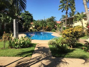A swimming pool surrounded by lush greenery and palm trees, with a clear blue sky above. - Newly Remodeled Condo MS #1 With 200MB Internet (Coco)