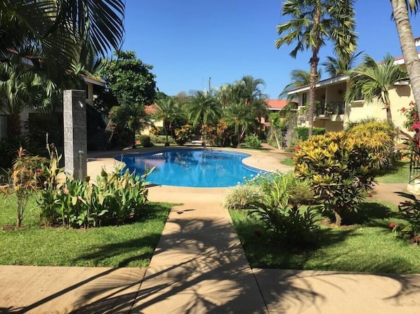 Pool - Newly Remodeled Condo MS #1 With 200MB Internet (Coco)