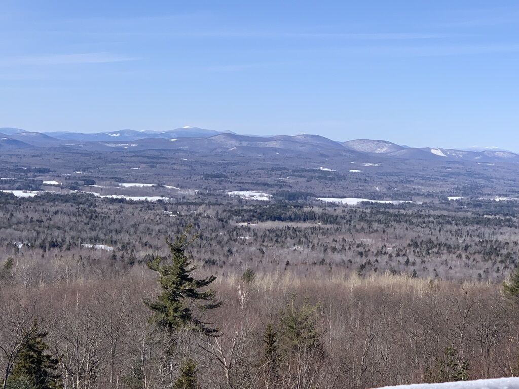 Une vue panoramique d’un paysage montagneux, avec des sommets enneigés et de vastes forêts.