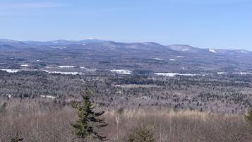 Une vue panoramique d’un paysage montagneux, avec des sommets enneigés et de vastes forêts.