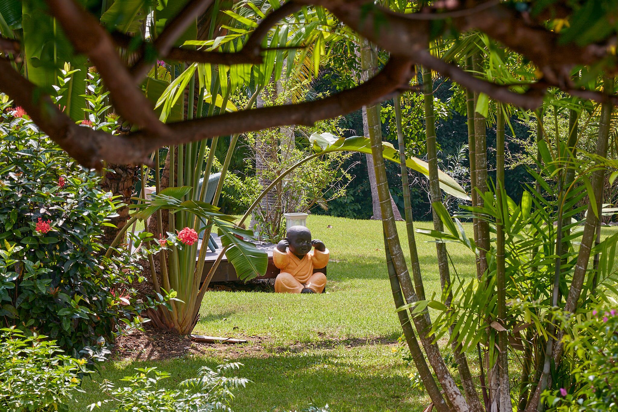 Una estàtua d'un nen en un jardí amb vegetació exuberant i diferents plantes.