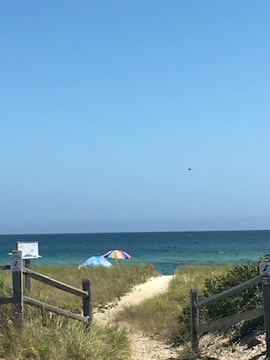 Chaises longues, serviettes de plage