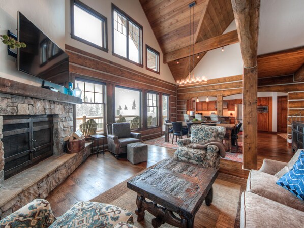 Télévision, cheminée, jeux vidéo, lecteur de DVD