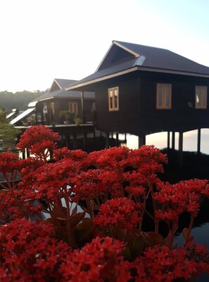 บริเวณภายนอก