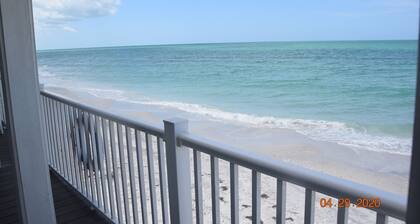 TEMPORARY CLOSED BECAUSE HURRICANE MILTON SEVERE DAMAGE