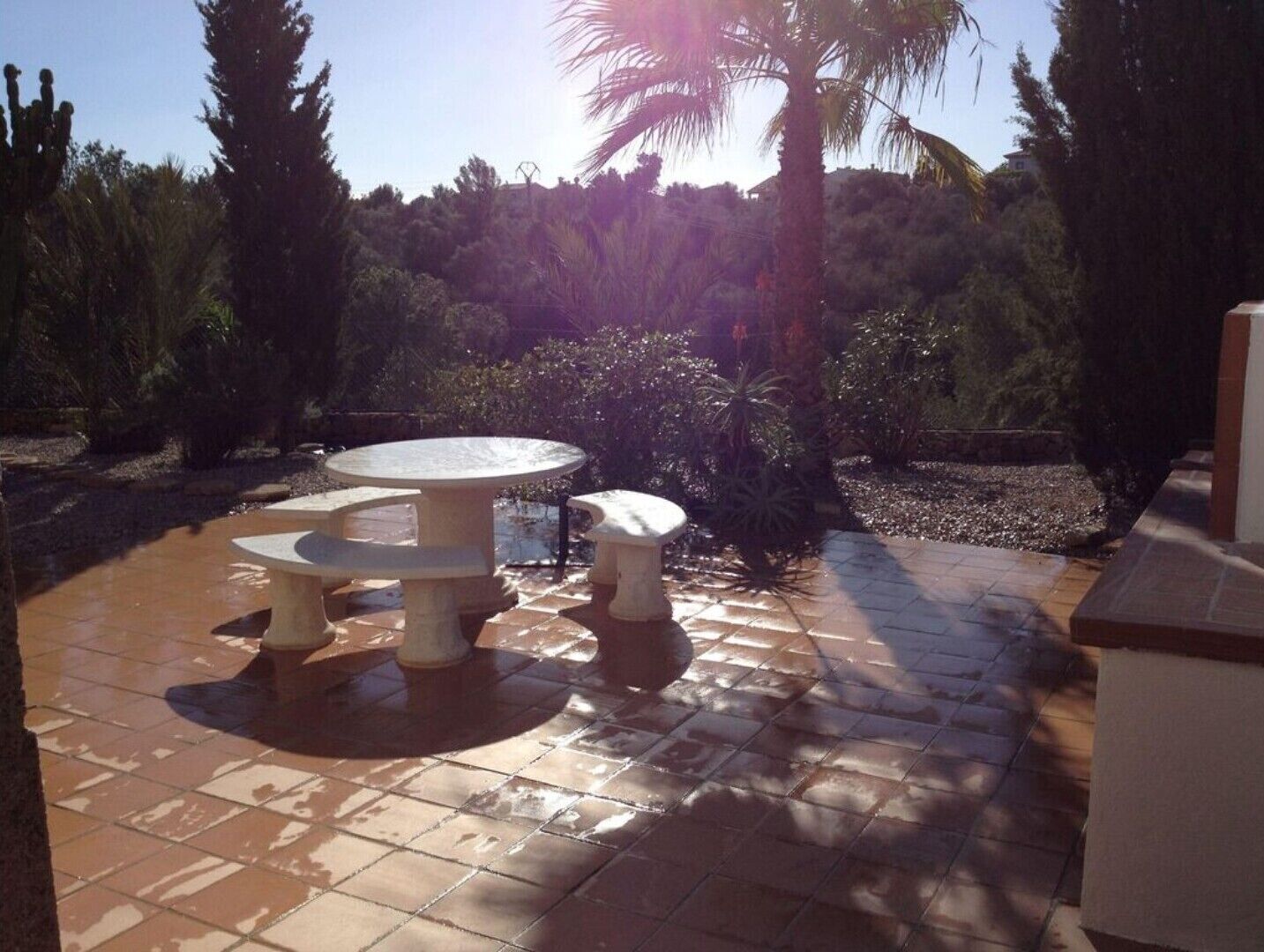 Un patio al aire libre con una mesa redonda y bancos, rodeado de plantas y árboles.