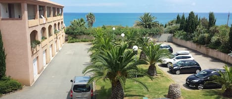 A parking area with several cars, palm trees, and a building with arched windows.