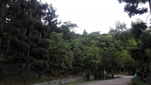 Unclassified image, 5 of 15, button - Puteri Homestay Putrajaya --PHP-- (Putrajaya)