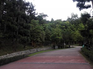 Großer Kühlschrank, Herdplatte, Reiskocher