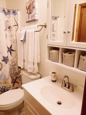 Combined shower/tub, hair dryer, towels, soap