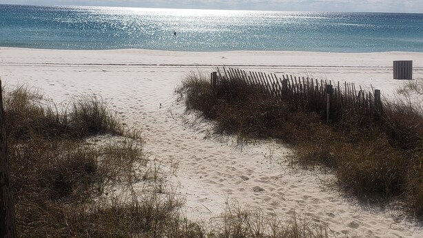 A sandy beach with a wooden fence and some vegetation in the foreground.