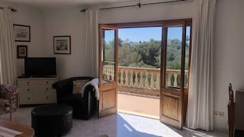 Una televisión, una chimenea