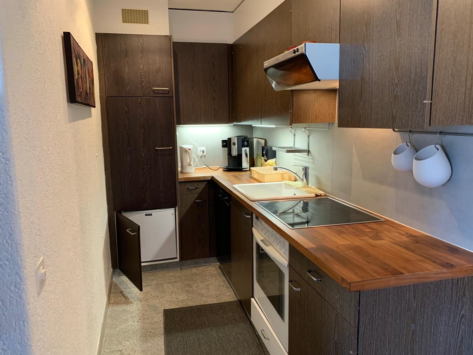 Fridge, oven, stovetop, dishwasher