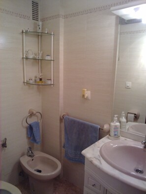 Een bad/douchecombinatie, een bidet, handdoeken, zeep